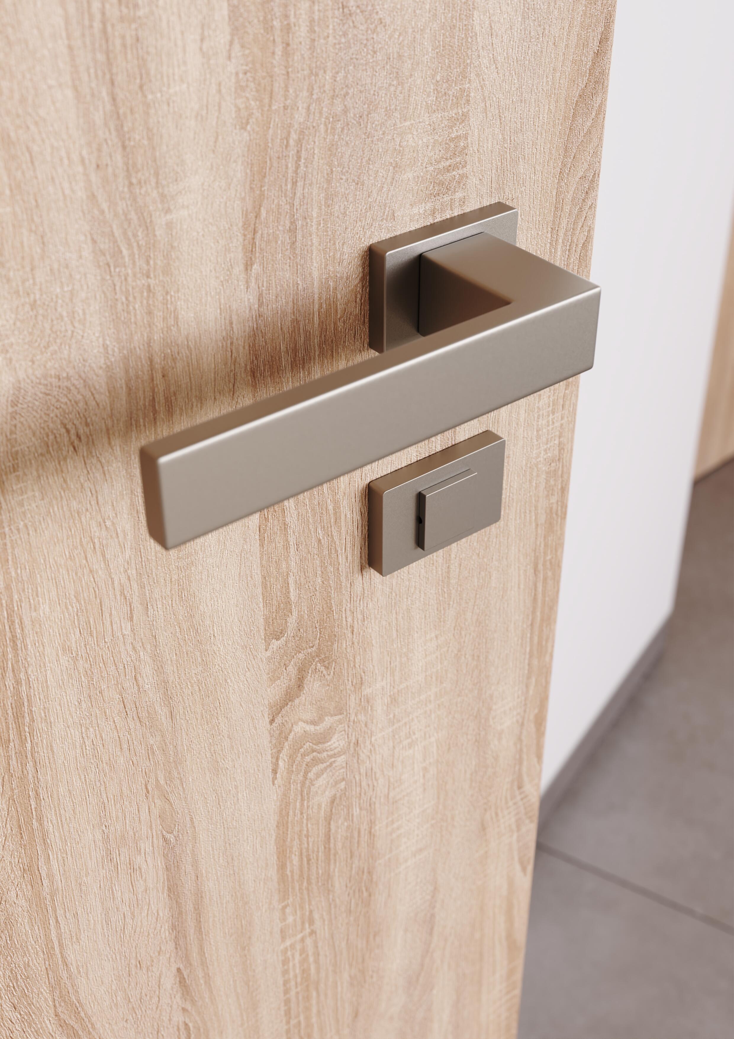 Otočné dveře Clever